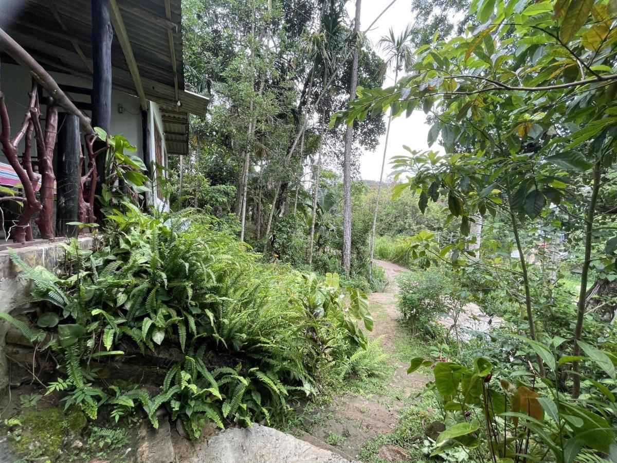 Sri Bhavan เอลลา ภายนอก รูปภาพ